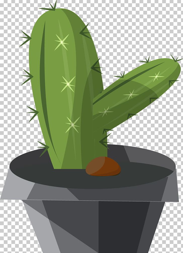 Cactaceae Illustration PNG, Clipart, Adobe Illustrator, Cactaceae, Cactus, Cactus Vector, Cartoon Free PNG Download