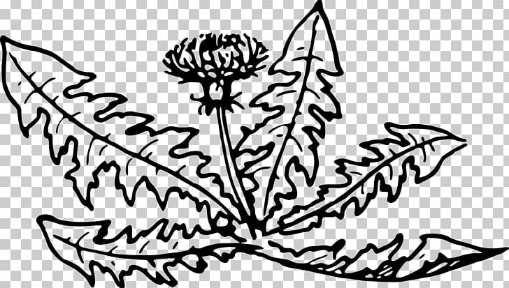 Line Art Dandelion Plant Flower PNG, Clipart, Artwork, Black, Black And White, Coloring Book, Dandelion Free PNG Download