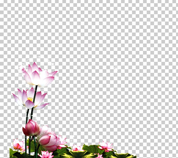 Herbaceous Plant Computer Network Flower Arranging PNG, Clipart, Computer, Computer Network, Computer Wallpaper, Cut Flowers, Desktop Wallpaper Free PNG Download