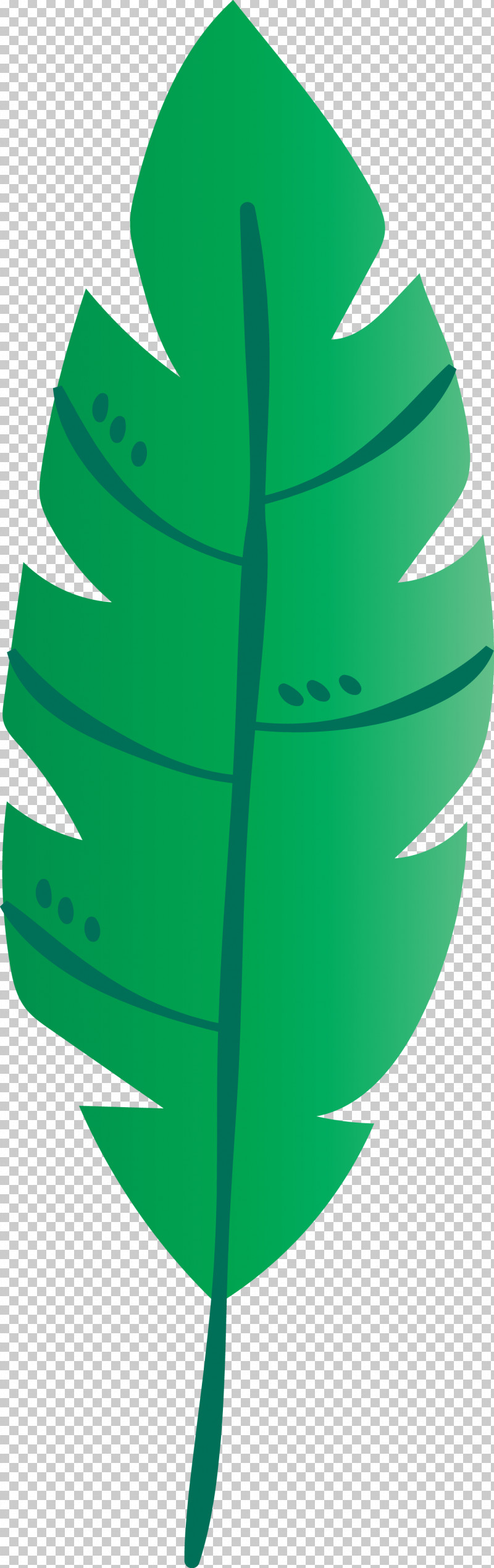 Leaf Green M-tree Line Lawn PNG, Clipart, Biology, Green, Lawn, Leaf, Line Free PNG Download