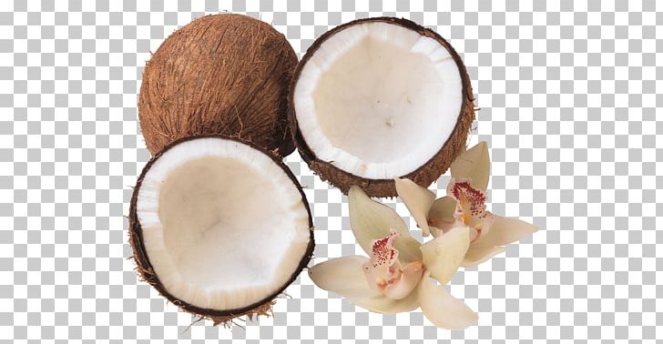 Coconut Water Coconut Oil Food Health PNG, Clipart, Cancer, Coconut, Coconut Oil, Coconut Water, Cooking Oils Free PNG Download