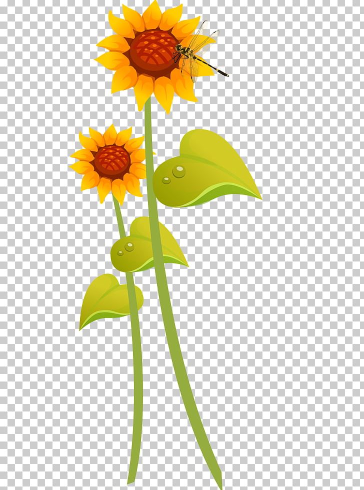 Common Sunflower Cartoon Illustration PNG, Clipart, Bigbang, Cartoon, Common Sunflower, Dahlia, Daisy Free PNG Download