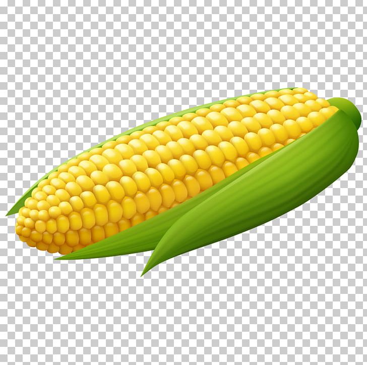 Corn On The Cob Maize PNG, Clipart, Baogu, Cartoon, Cartoon Corn, Caryopsis, Commodity Free PNG Download