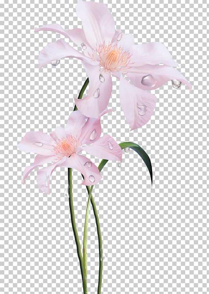 Cut Flowers Floral Design Flower Bouquet Plant Stem PNG, Clipart, Cut Flowers, Floral Design, Floristry, Flower, Flower Bouquet Free PNG Download