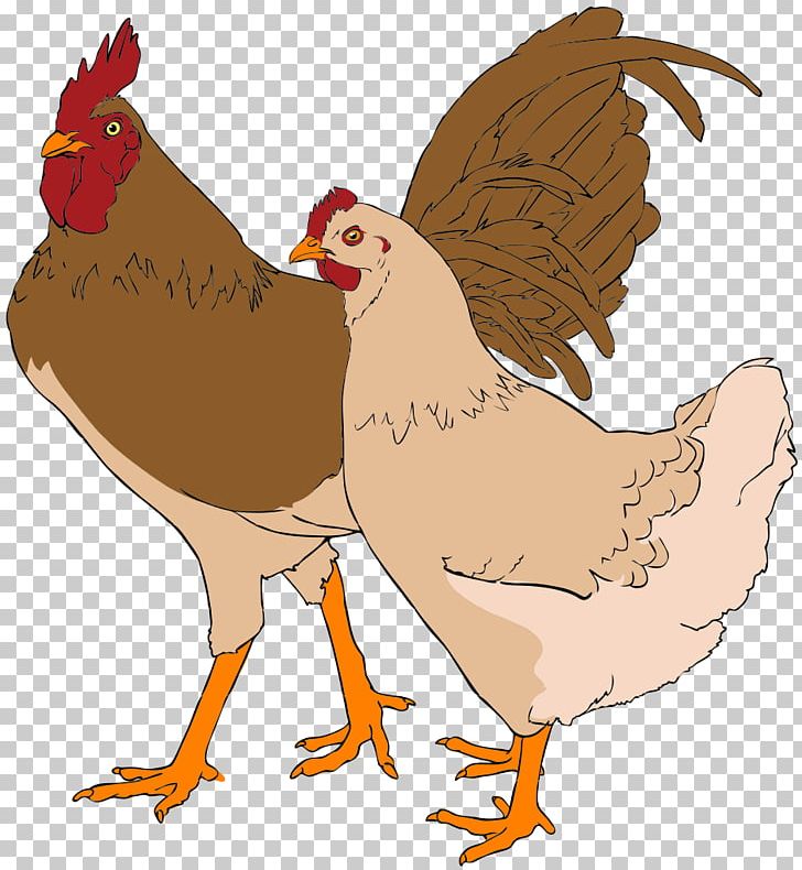 Faverolles Chicken Rooster Thumbnail PNG, Clipart, Beak, Bird, Chicken, Drawing, Fauna Free PNG Download