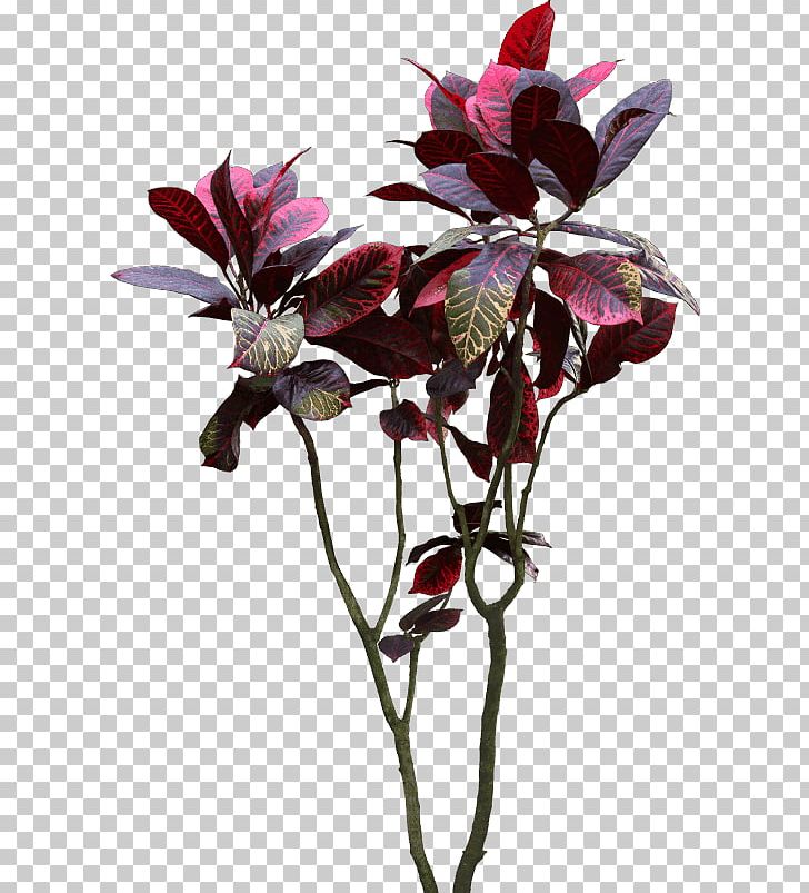 Houseplant Bonsai Cut Flowers Flora PNG, Clipart, Animaatio, Artificial Flower, Bonsai, Branch, Cut Flowers Free PNG Download