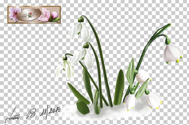 Cut Flowers Plant Floral Design Floristry PNG, Clipart, Art, Cut Flowers, Fairy, Fantasy, Flora Free PNG Download