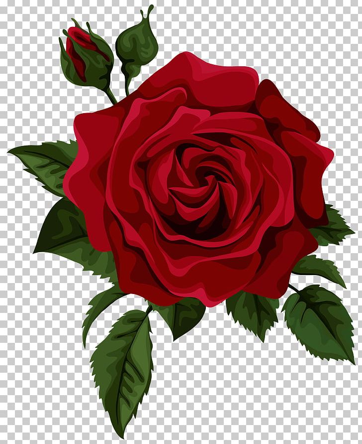 Drawing Rose PNG, Clipart, Annual Plant, Art, Bud, China Rose, Clip Art Free PNG Download