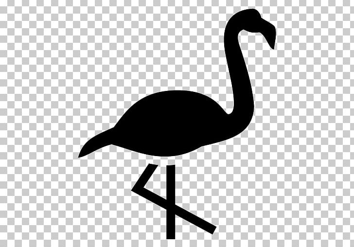 Water Bird Crane Goose Cygnini PNG, Clipart, Anatidae, Animal, Animals, Beak, Bird Free PNG Download