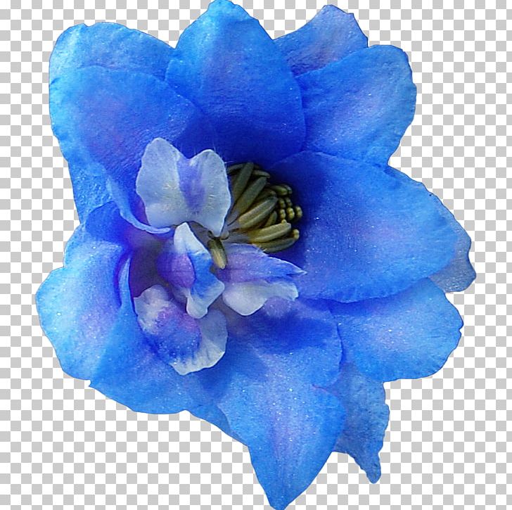 Pastel Blue Aesthetic Flower – AllPaintbyNumbers