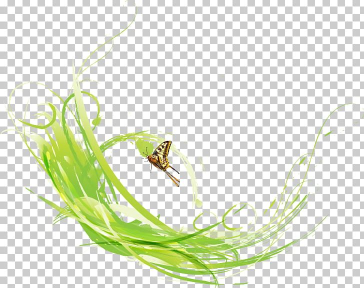 Butterfly Green Computer File PNG, Clipart, Background Green, Bird, Butterfly, Butterfly Vector, Computer Graphics Free PNG Download