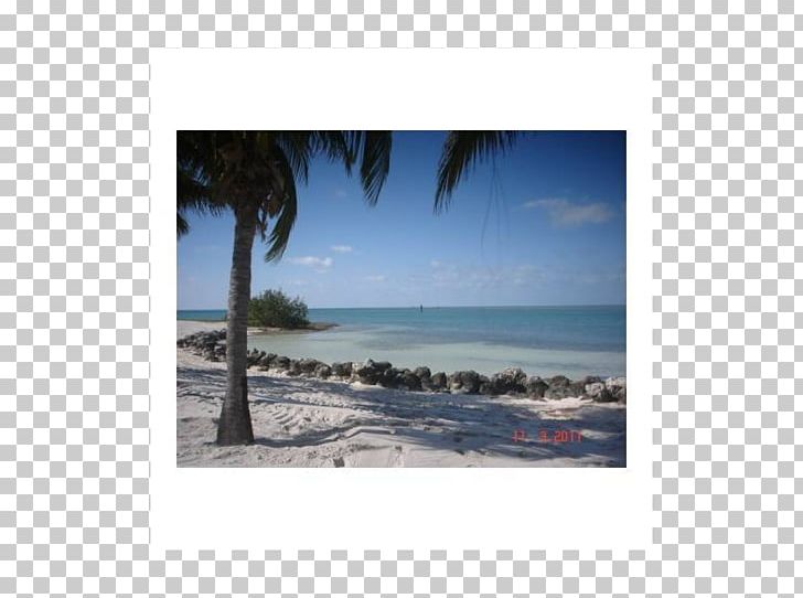 Caribbean Sea Beach Coast Ocean PNG, Clipart, Beach, Caribbean, Coast, Coastal And Oceanic Landforms, Inlet Free PNG Download