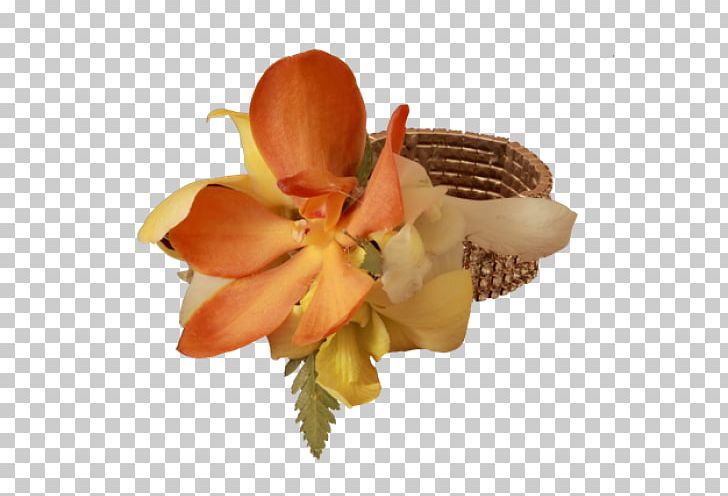 Cut Flowers Petal PNG, Clipart, Cut Flowers, Flower, Miscellaneous, Orange, Others Free PNG Download