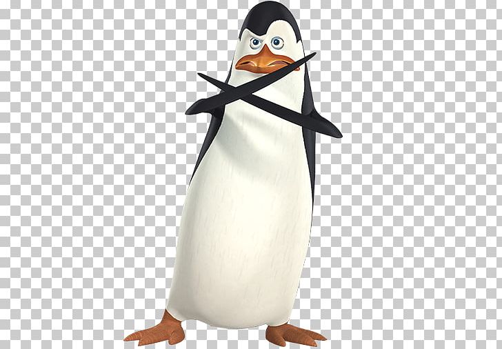 Kowalski Skipper Penguin Madagascar Television Show PNG, Clipart, Animals, Beak, Bird, Character, Flightless Bird Free PNG Download