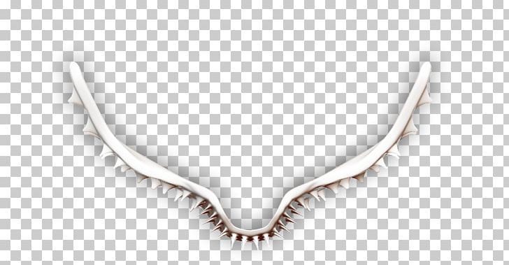 Necklace Jewellery Silver Chain PNG, Clipart, Body Jewellery, Body Jewelry, Chain, Fashion, Fashion Accessory Free PNG Download