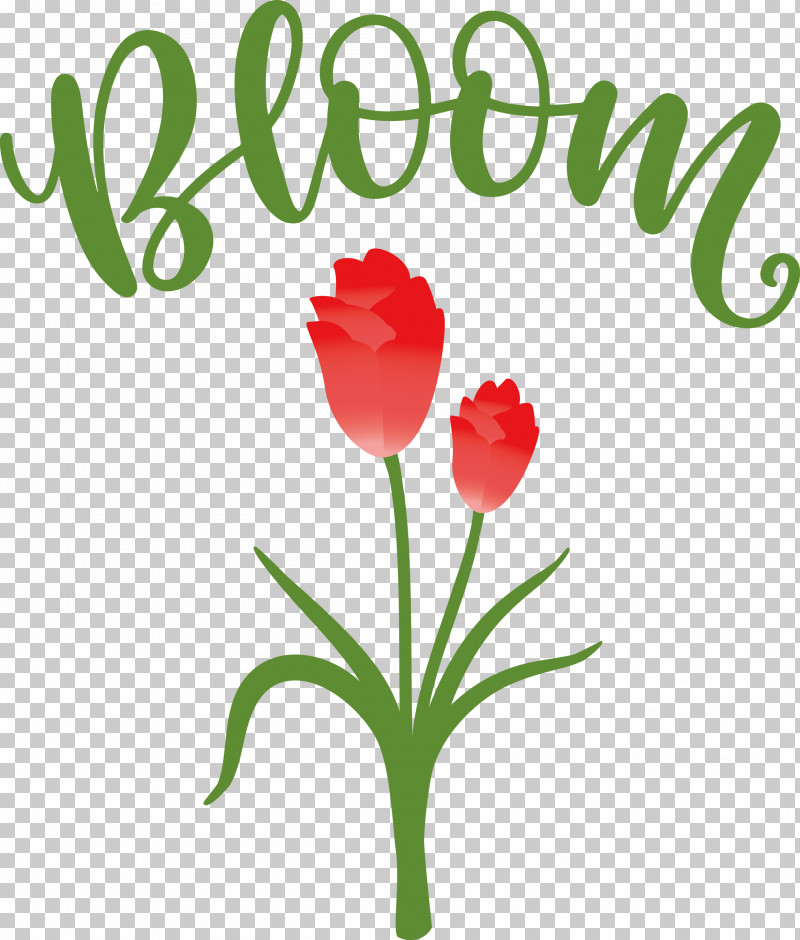 Bloom Spring Flower PNG, Clipart, Bloom, Cut Flowers, Decal, Floral Design, Flower Free PNG Download