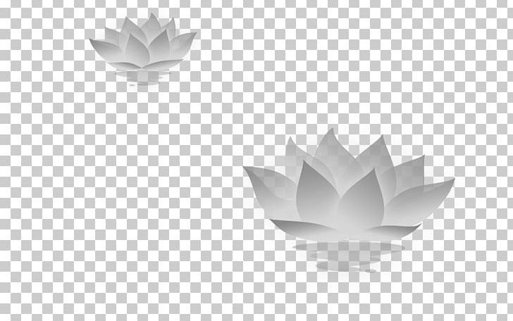 Nelumbo Nucifera Icon PNG, Clipart, Angle, Black And White, Clifford, Computer, Computer Wallpaper Free PNG Download