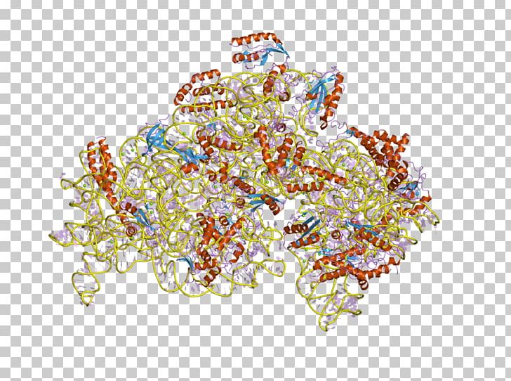 S4 Protein Domain Pfam Ribosomal Protein PNG, Clipart, Art, Biology, European Bioinformatics Institute, Jewellery, Molecular Biology Free PNG Download