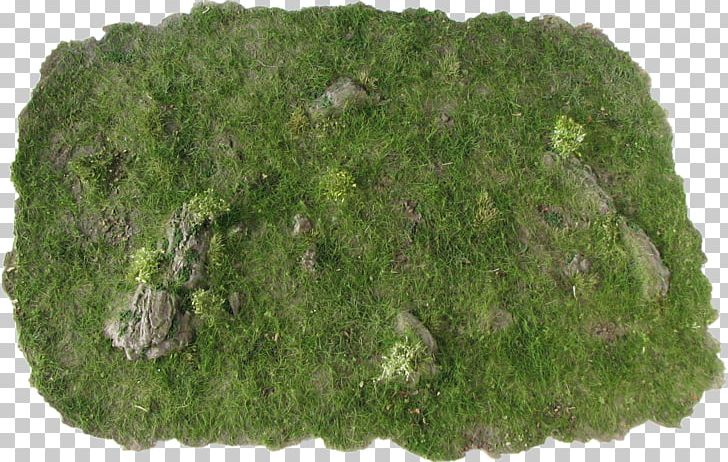 Wargaming Miniature Figure Mat Rock PNG, Clipart, Caulking, Dry Twigs, Floor, Grass, Leaf Free PNG Download