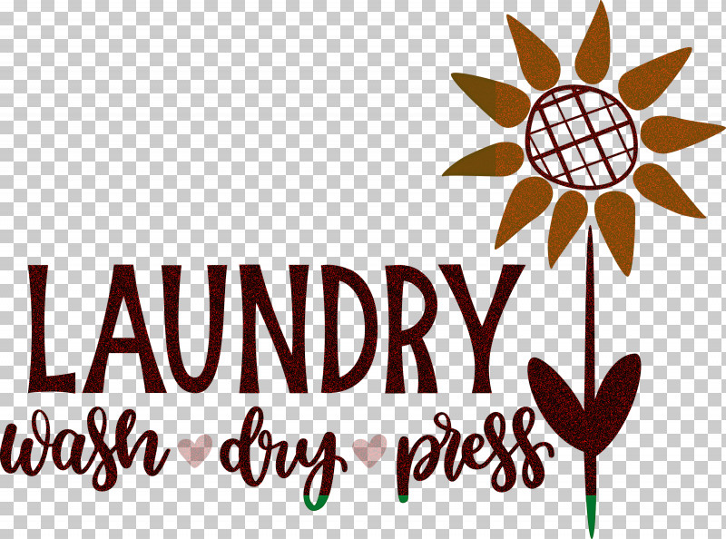 Laundry Wash Dry PNG, Clipart, Biology, Dry, Flower, Laundry, Leaf Free PNG Download