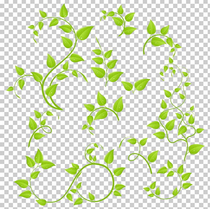 Branch PNG, Clipart, Area, Branch, Depositphotos, Flora, Floral Design Free PNG Download