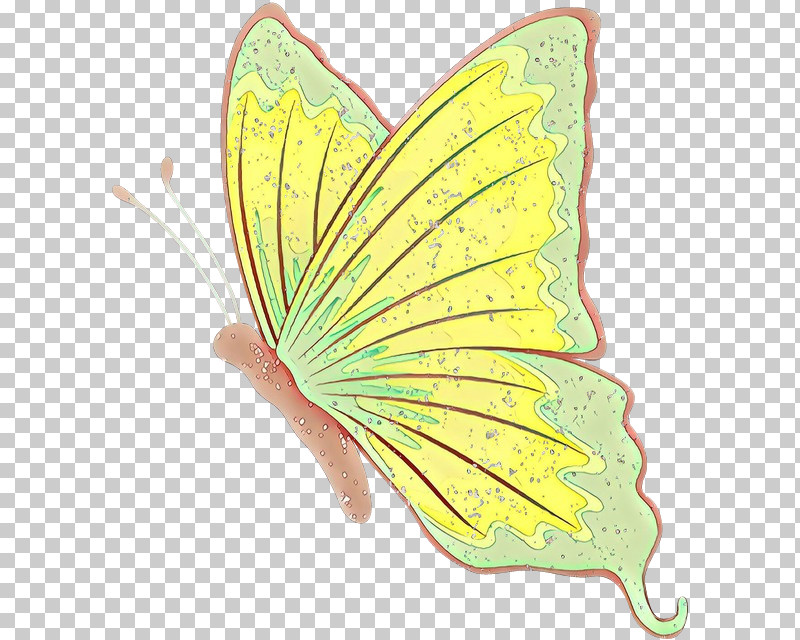 Butterfly Insect Moths And Butterflies Leaf Yellow PNG, Clipart, Butterfly, Insect, Leaf, Moths And Butterflies, Pieridae Free PNG Download