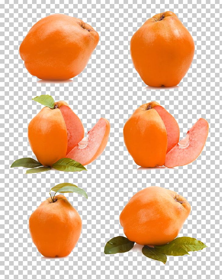 Clementine Mandarin Orange Fruit Auglis Apple PNG, Clipart, Apple Fruit, Auglis, Bell Peppers And Chili Peppers, Citrus, Clementine Free PNG Download
