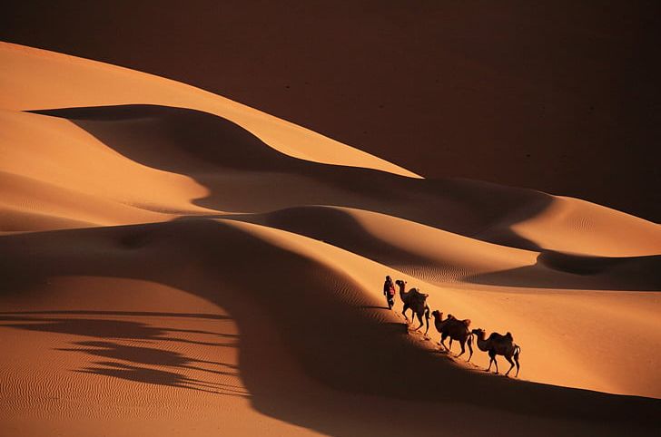 Sahara Camel Train Desktop Caravan PNG, Clipart, Aeolian Landform, Animals, Camel, Camel Train, Caravan Free PNG Download