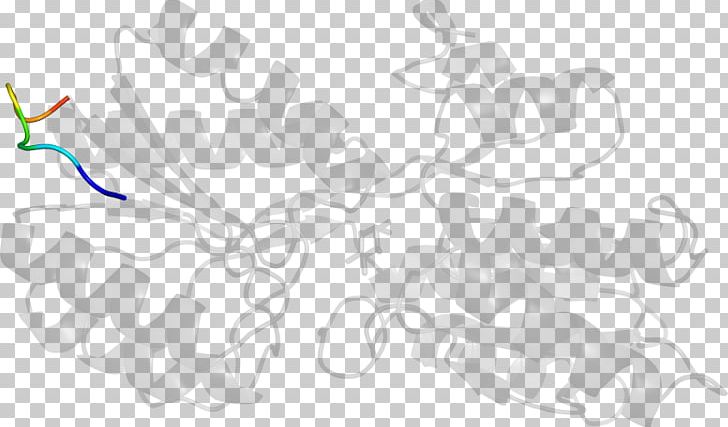 White Line Art PNG, Clipart, Anabaena, Angle, Area, Art, Artwork Free PNG Download