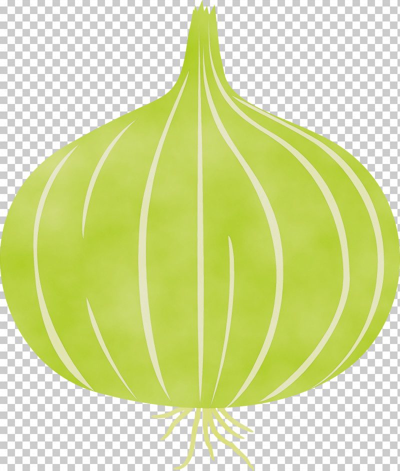 Leaf Green Tree Fruit Science PNG, Clipart, Biology, Fruit, Green, Leaf, Onion Free PNG Download