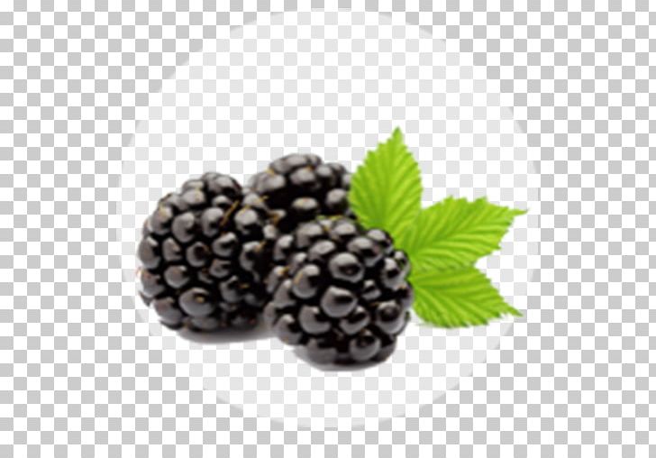Blackberry Fruit Granita Shutterstock PNG, Clipart, Berry, Bilberry, Black, Blackberry Fruit, Blueberry Free PNG Download