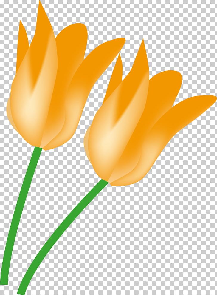 Clean Flowers. PNG, Clipart, Closeup, Computer, Computer Wallpaper, Copyright, Copyrightfree Free PNG Download