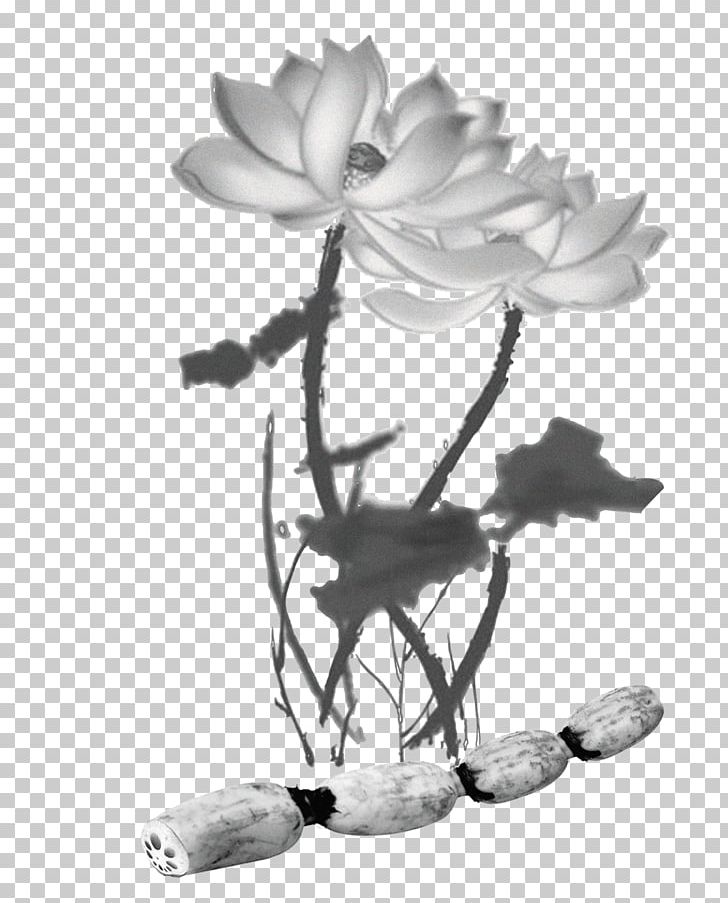 Nelumbo Nucifera Lotus Seed App Store PNG, Clipart, Black Hair, Botany, Branch, Chinese Painting, Flower Free PNG Download