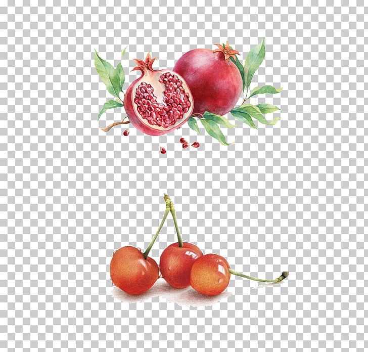 Pomegranate Watercolor Painting Illustration PNG, Clipart, Auglis, Cherry Blossom, Cherry Blossoms, Cherry Tree, Common Guava Free PNG Download