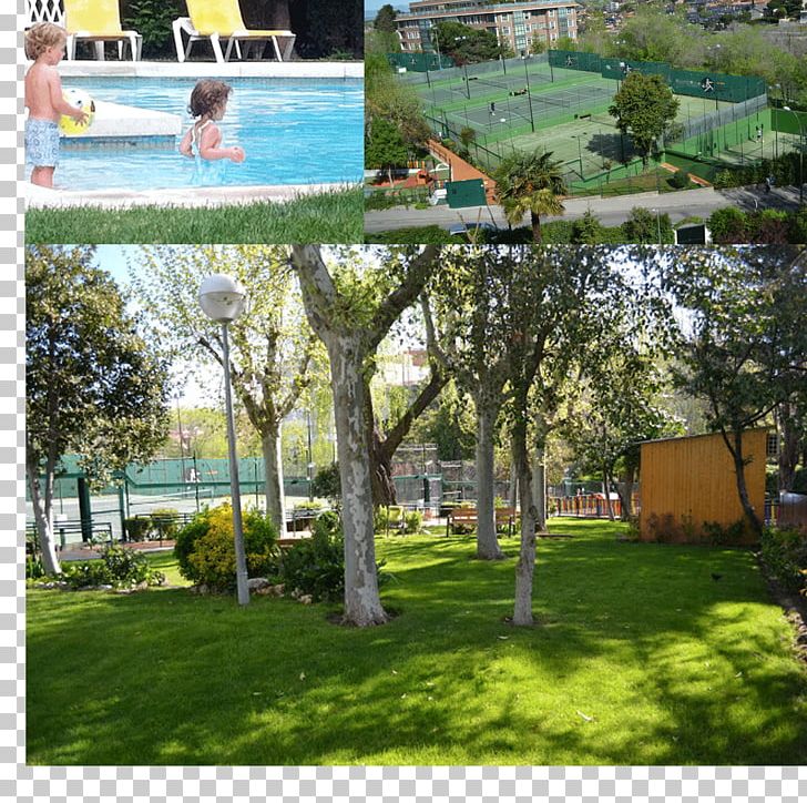 Backyard Tree Landscape Property Resort PNG, Clipart, Backyard, Garden, Grass, Home, House Free PNG Download