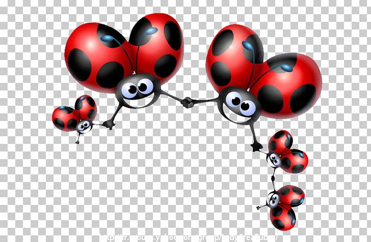 Ladybird Beetle Drawing PNG, Clipart, Animal, Balloon, Beetle, Coccinelle, Drawing Free PNG Download