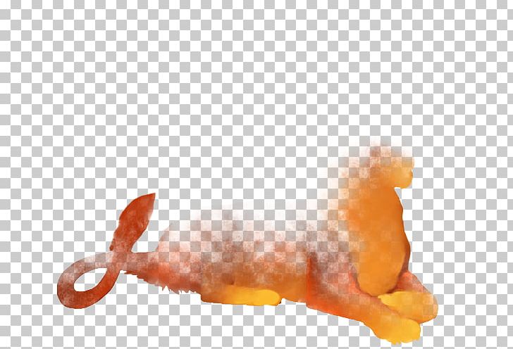 Snout PNG, Clipart, Orange, Organism, Others, Sherria Blendy, Snout Free PNG Download