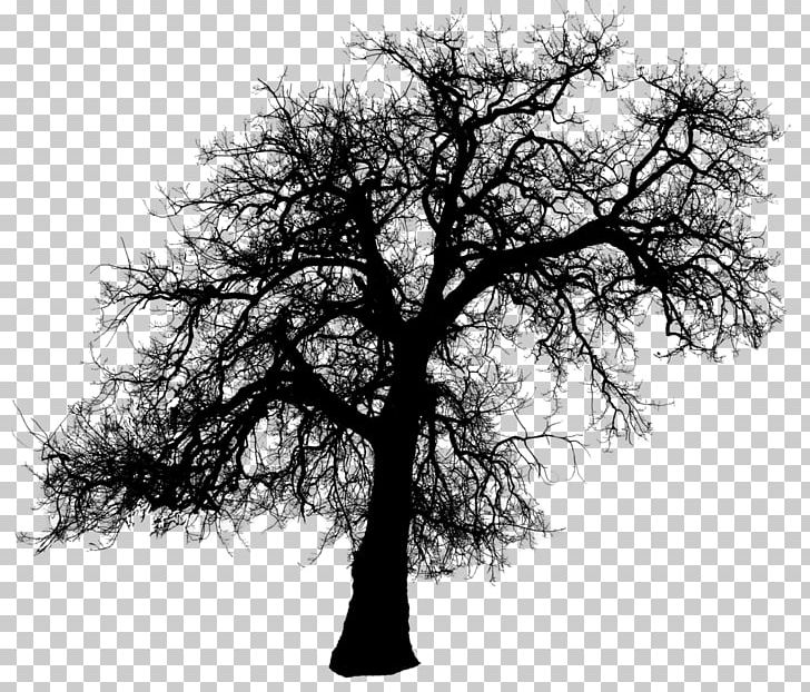 Tree Silhouette PNG, Clipart, Black And White, Branch, Computer Wallpaper, Deviantart, Monochrome Free PNG Download