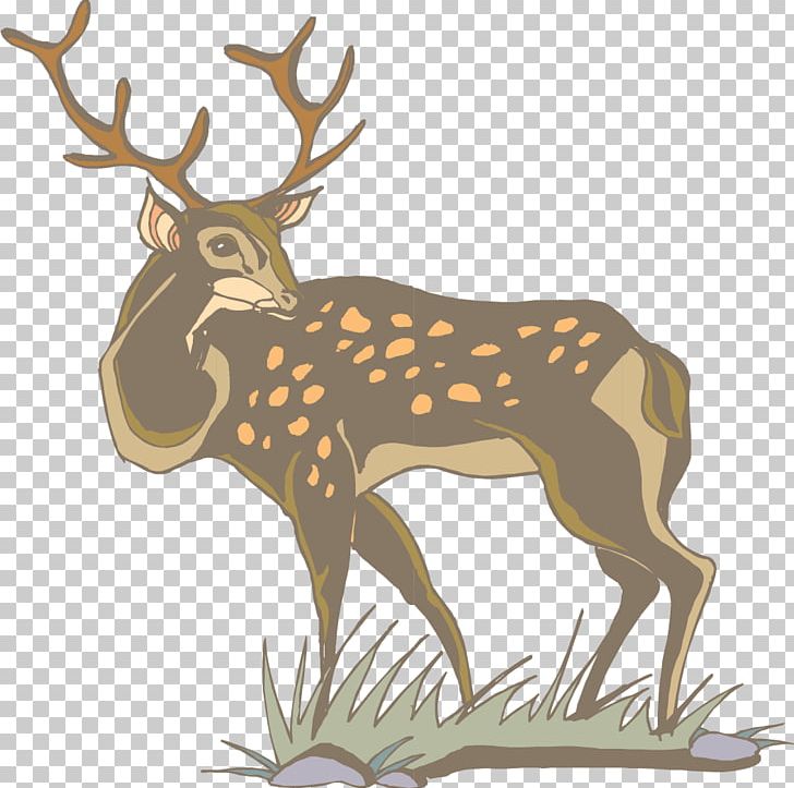 White-tailed Deer Antler PNG, Clipart, Animal, Animals, Antler, Back, Back To School Free PNG Download
