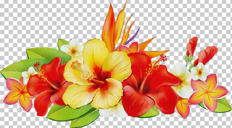 Floral Design PNG, Clipart, Canna, Cut Flowers, Floral Design, Flower, Flower Bouquet Free PNG Download