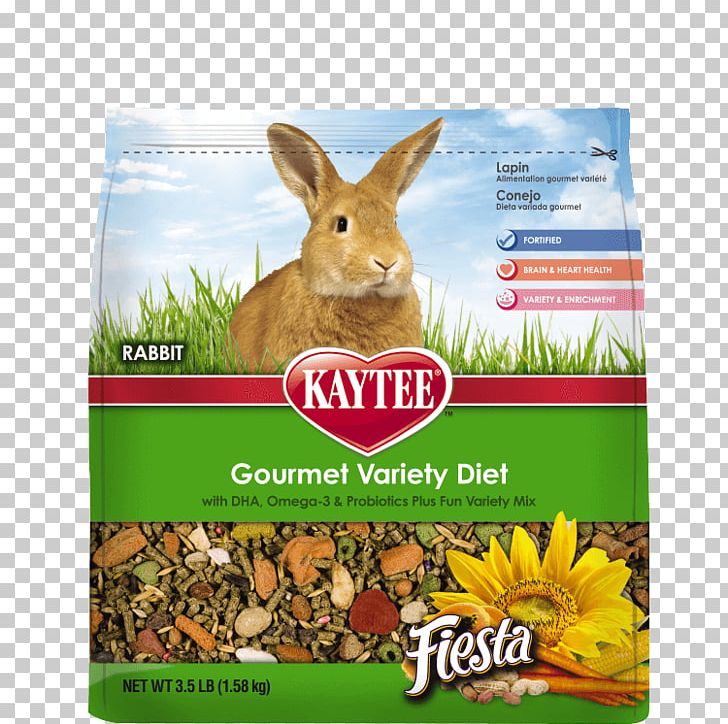 Chinchilla Rabbit Food Kaytee Pet PNG, Clipart,  Free PNG Download