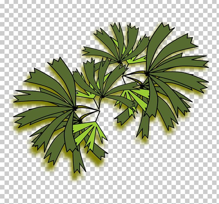 Arecaceae Tree Rhapis Excelsa PNG, Clipart, Arecaceae, Arecales, Computer Icons, Flowerpot, Leaf Free PNG Download