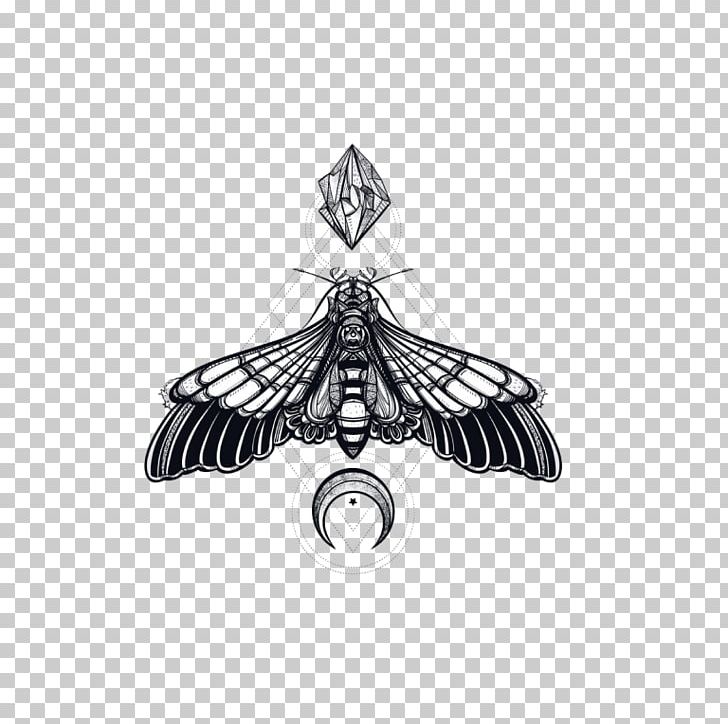 Butterfly Insect African Death's Head Hawkmoth Geometry Painting PNG, Clipart, African, Butterfly, Geometry, Insect, Painting Free PNG Download