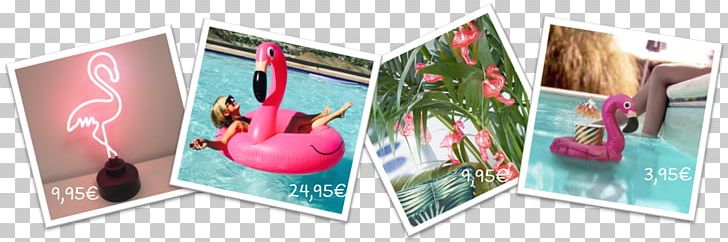 Greater Flamingo Paper Cote De Popularité Art PNG, Clipart, Art, Brand, Flamant Rose, Flamingos, Greater Flamingo Free PNG Download