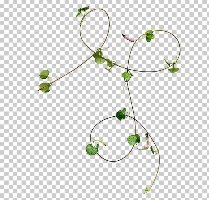 Rattan Green Vine PNG, Clipart, Angle, Body Jewelry, Circle, Download, Euclidean Vector Free PNG Download