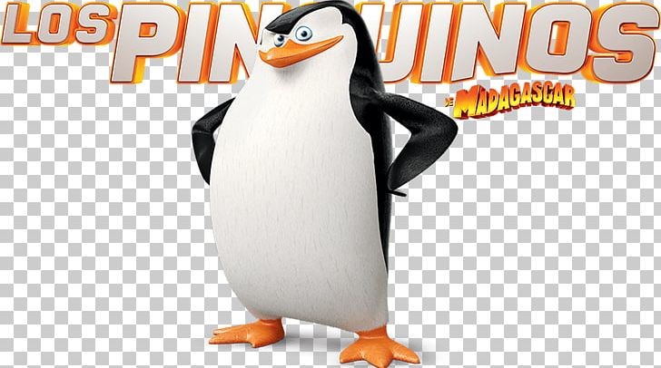 Skipper Kowalski Penguin Marty Madagascar PNG, Clipart, Animals, Beak, Bird, Dreamworks Animation, Film Free PNG Download