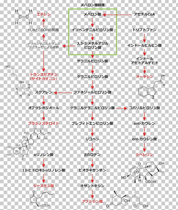 Jasmonic Acid Plant Hormone Biosynthesis Steroid PNG, Clipart, Acid, Angle, Area, Biosynthesis, Brassinosteroid Free PNG Download