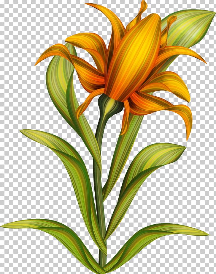 Drawing Painting Art PNG, Clipart, Art, Color, Cut Flowers, Daylily, Download Free PNG Download