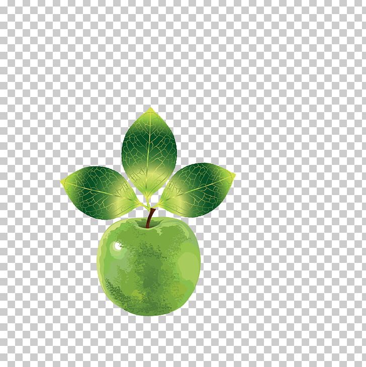 Logo PNG, Clipart, Apple, Apple Fruit, Apple Logo, Apple Vector, Background Green Free PNG Download