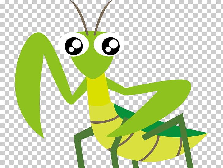 Mantis Insect PNG, Clipart, Animals, Artwork, Cartoon, Download, Egg Free PNG Download